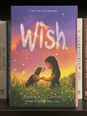 Wish Barbara O’Connor Paperback Book Middle Grade Novel